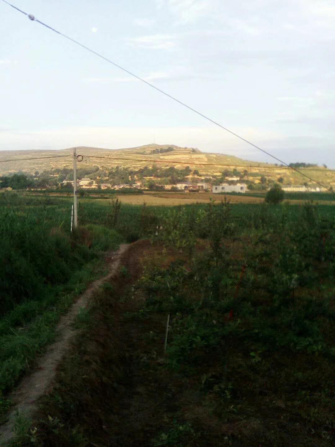 mmexport1544773706213.jpg