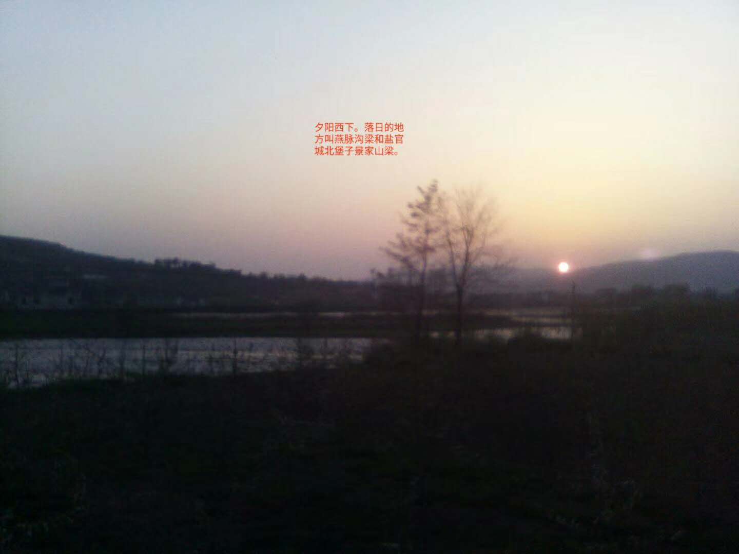 mmexport1544773684952.jpg